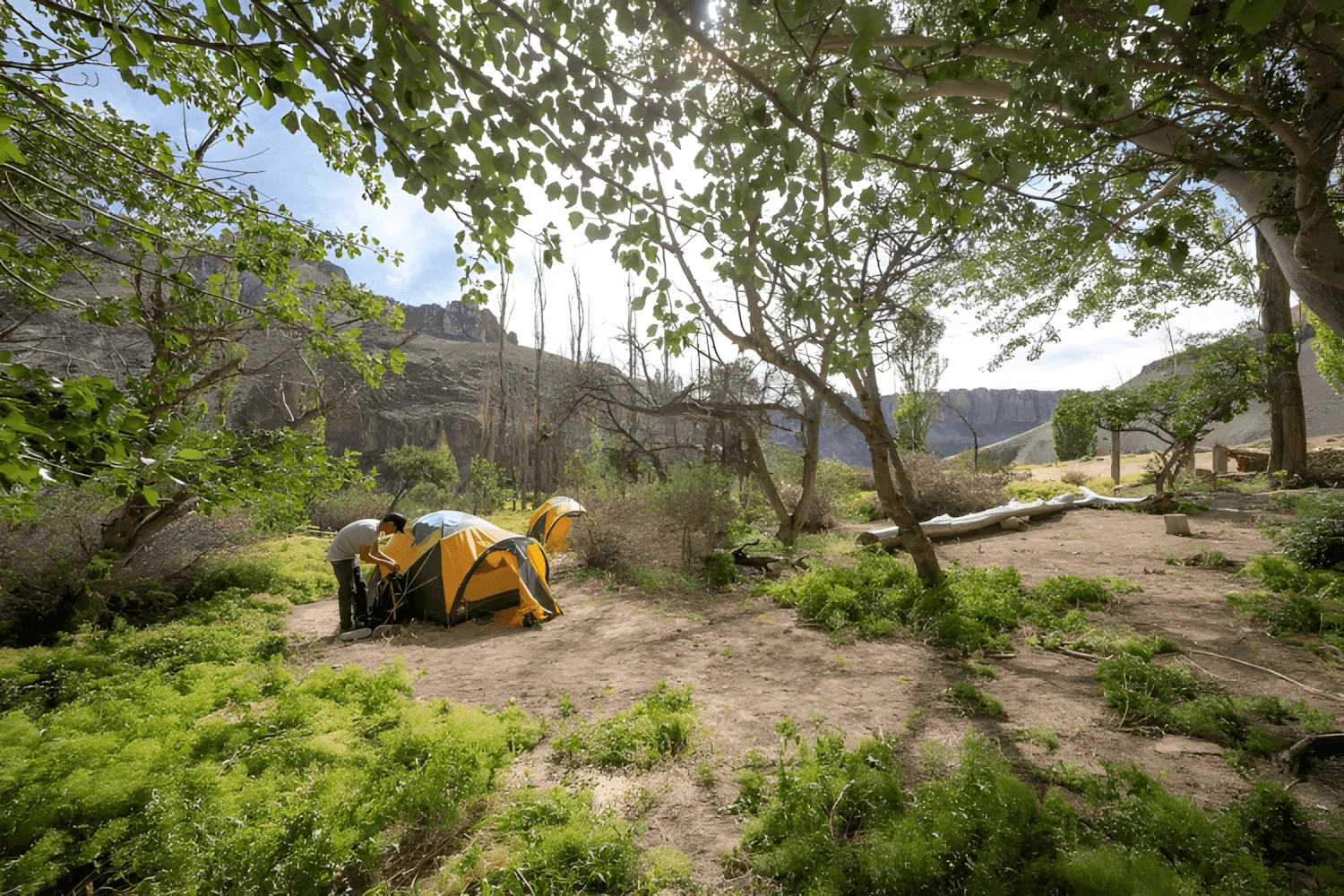 Camping en Parque Patagonia durante los Campamentos Exploradores